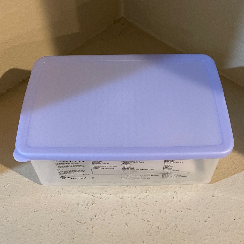 Tupperware Fridgesmart Medium Rectangle Container - Picture 2 of 12
